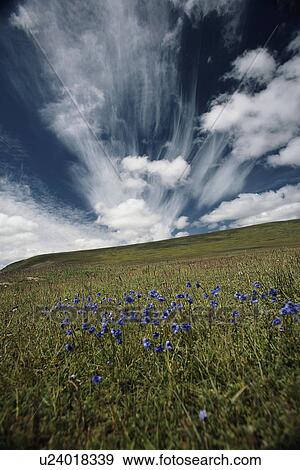 Countryside in Tibet View Large Photo Image Stock Photo - Countryside in Tibet. Fotosearch
