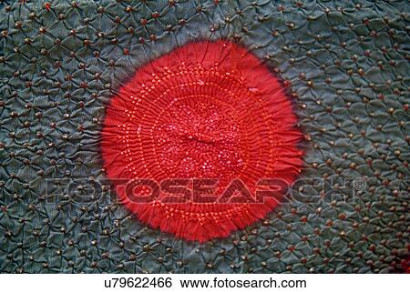 Stock Photograph - Detail of Bandhni tie and Dye. Fotosearch