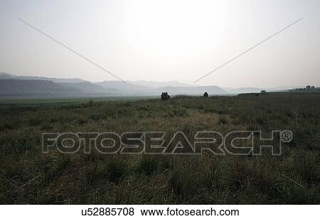 Elephant ride View Large Photo Image Stock Photo - Elephant ride. Fotosearch