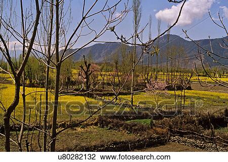 Fields View Large Photo Image Stock Image - Fields. Fotosearch
