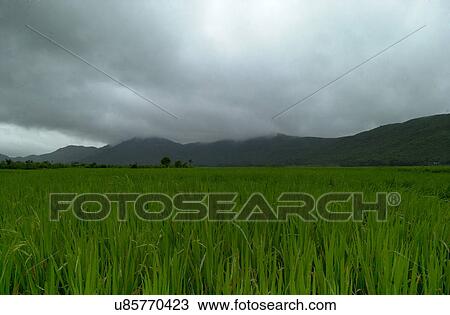 Fields View Large Photo Image Stock Image - Fields. Fotosearch