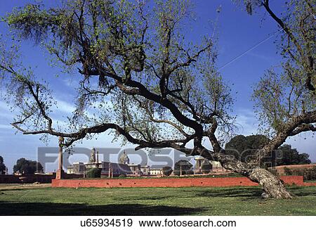 Garden at Rashtrapati Bhawan View Large Photo Image Stock Photo - Garden at Rashtrapati Bhawan. Fotosearch