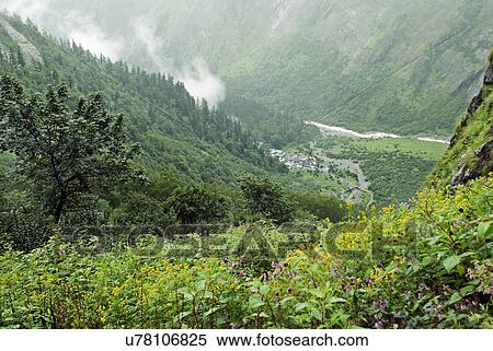 Ghangaria village View Large Photo Image Stock Photography - Ghangaria village . Fotosearch