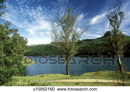Glenmorgan Lake View Large Photo Image Stock Image - Glenmorgan Lake . Fotosearch
