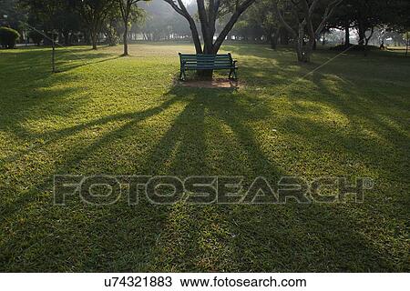 Green lawns of the Lalbagh botanical garden View Large Photo Image Stock Image - Green lawns of the Lalbagh botanical garden . Fotosearch