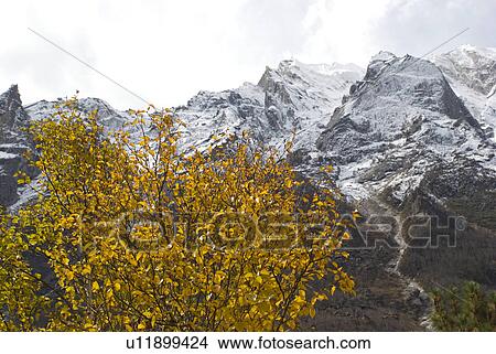 Himalayan landscape View Large Photo Image Picture - Himalayan landscape . Fotosearch