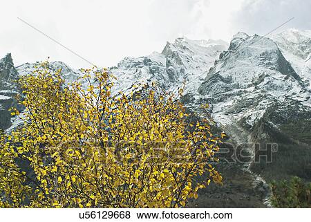 Himalayan landscape View Large Photo Image Stock Photo - Himalayan landscape . Fotosearch