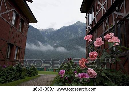 Houses View Large Photo Image Stock Photo - Houses. Fotosearch
