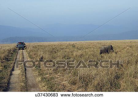Jim Corbett National Park View Large Photo Image Stock Image - Jim Corbett National Park. Fotosearch