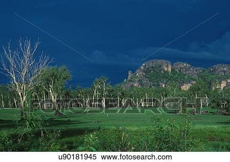 Stock Photography - Kakadu National Park. Fotosearch