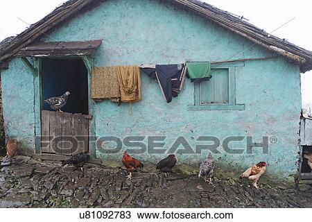 Kalipokhri Village View Large Photo Image Stock Image - Kalipokhri Village . Fotosearch