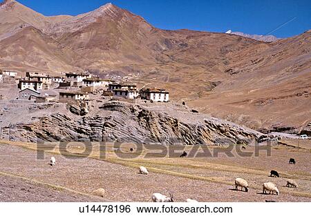 Kibber village View Large Photo Image Stock Photograph - Kibber village. Fotosearch