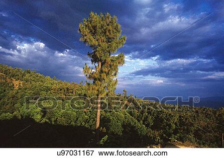 Stock Photo - Kumaon. Fotosearch