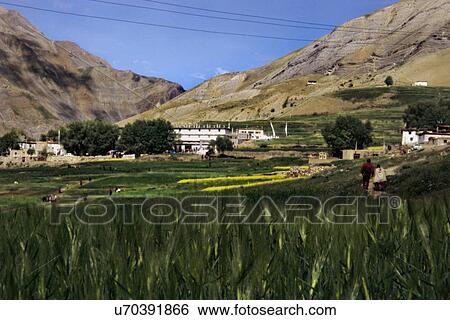 Kungri Gompa, Pin Valley View Large Photo Image Stock Photograph - Kungri Gompa, Pin Valley. Fotosearch