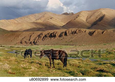 Stock Photo - Ladakh. Fotosearch