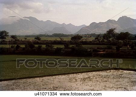 Picture - Landscape. Fotosearch