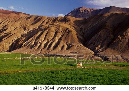 Landscape View Large Photo Image Picture - Landscape. Fotosearch