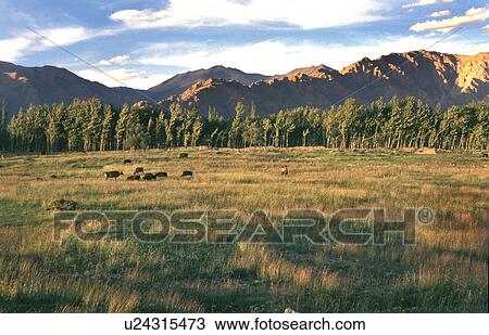 Stock Image - Landscape. Fotosearch