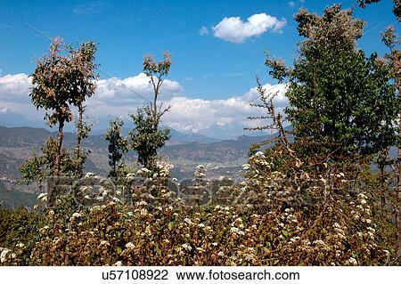 Landscape View Large Photo Image Stock Image - Landscape. Fotosearch
