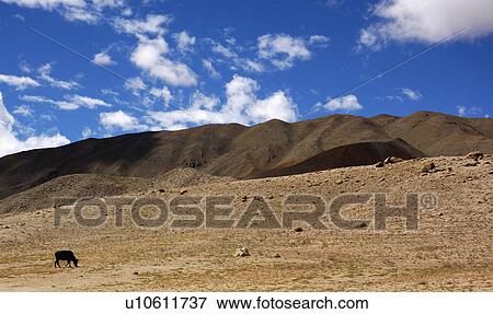 Landscape View Large Photo Image Stock Photo - Landscape. Fotosearch