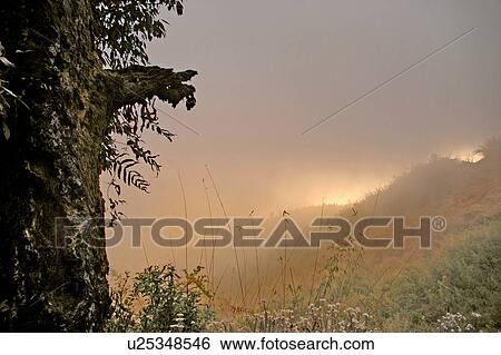Landscape View Large Photo Image Stock Photograph - Landscape. Fotosearch