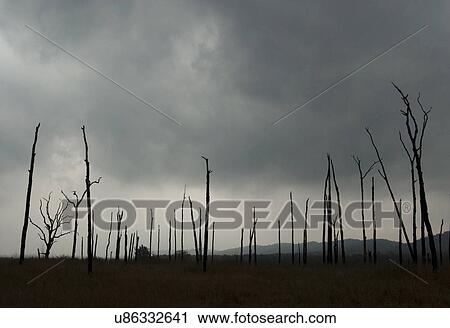 Monsoon clouds View Large Photo Image Stock Image - Monsoon clouds. Fotosearch