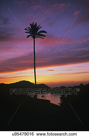 Mount Abu View Large Photo Image Stock Photograph - Mount Abu. Fotosearch