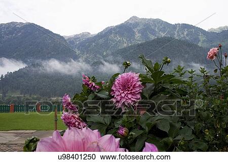 Mountains View Large Photo Image Stock Image - Mountains. Fotosearch