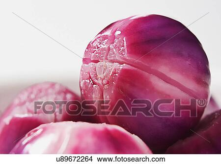 Onions View Large Photo Image Picture - Onions. Fotosearch
