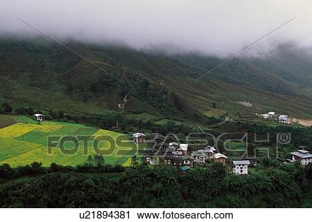Paro Valley View Large Photo Image Stock Image - Paro Valley. Fotosearch