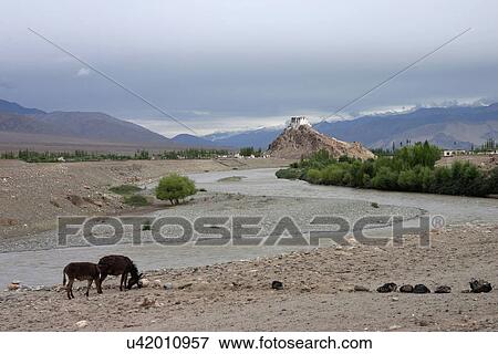 River View Large Photo Image Stock Photo - River. Fotosearch