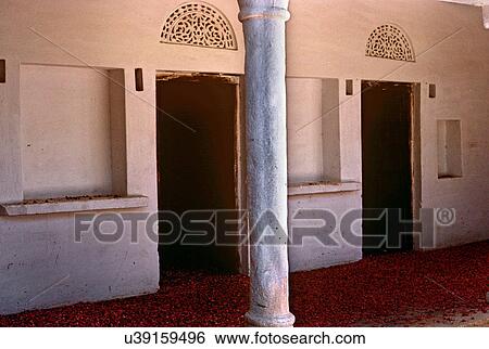 Rose petals drying View Large Photo Image Stock Photograph - Rose petals drying. Fotosearch