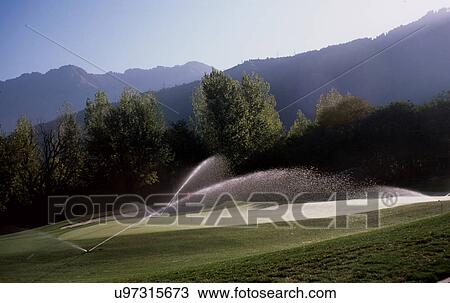 Royal Springs Golf Course View Large Photo Image Stock Image - Royal Springs Golf Course. Fotosearch