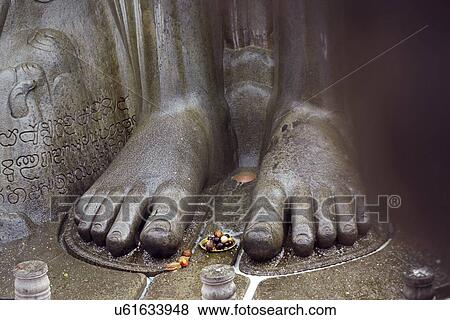 Sacred feet of the statue of Lord Gomateshwara View Large Photo Image Stock Photo - Sacred feet of the statue of Lord Gomateshwara . Fotosearch