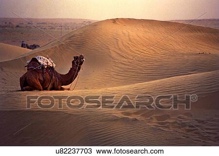 Sand dunes View Large Photo Image Stock Image - Sand dunes. Fotosearch