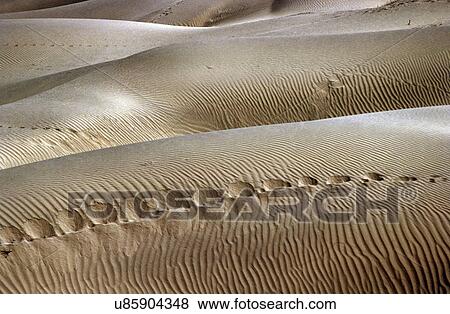 Sand dunes View Large Photo Image Stock Photo - Sand dunes. Fotosearch