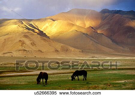 Scenery View Large Photo Image Stock Photography - Scenery. Fotosearch