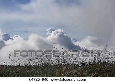 Singalila National Park View Large Photo Image Stock Image - Singalila National Park . Fotosearch