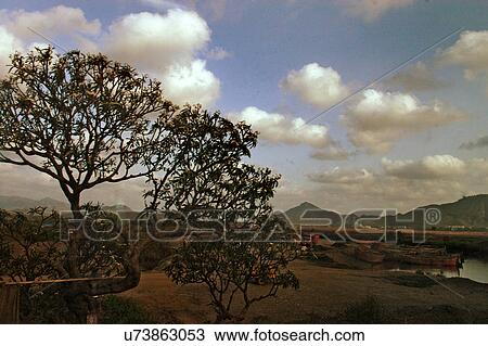 Stock Image - Small boats. Fotosearch