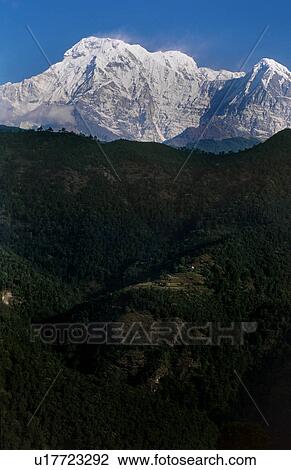 Snow capped View Large Photo Image Stock Image - Snow capped. Fotosearch