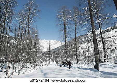 Solang Valley View Large Photo Image Picture - Solang Valley . Fotosearch