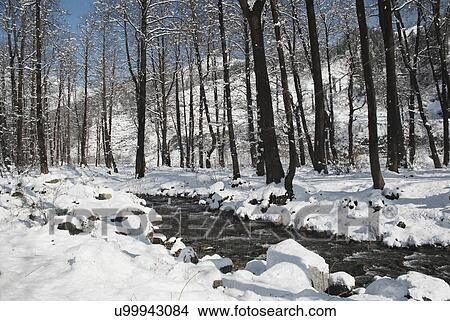 Solang Valley View Large Photo Image Picture - Solang Valley . Fotosearch