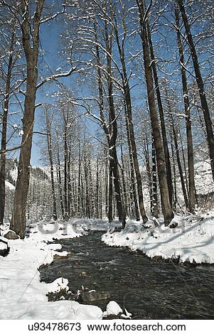 Solang Valley View Large Photo Image Stock Image - Solang Valley . Fotosearch
