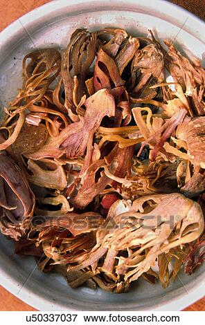 Spices View Large Photo Image Stock Photo - Spices. Fotosearch
