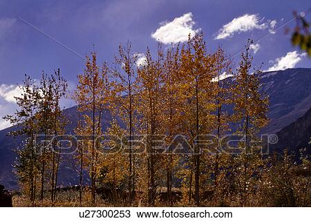 Stock Image - Spring in Tabo. Fotosearch