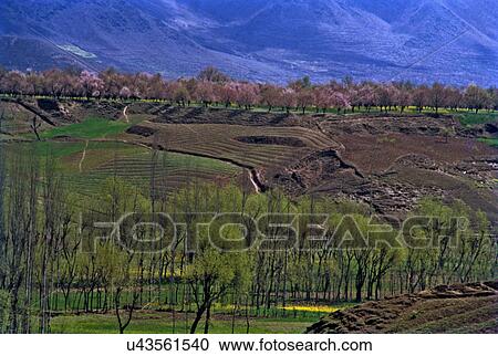 Spring View Large Photo Image Stock Image - Spring. Fotosearch