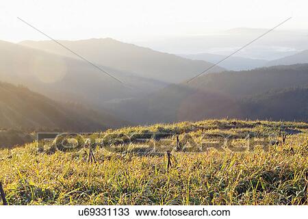 Sunrise at Phalut View Large Photo Image Stock Image - Sunrise at Phalut . Fotosearch