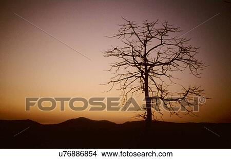 Sunset View Large Photo Image Picture - Sunset. Fotosearch