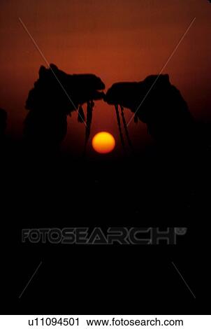 Sunset View Large Photo Image Stock Image - Sunset. Fotosearch