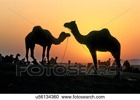 Sunset View Large Photo Image Stock Image - Sunset. Fotosearch
